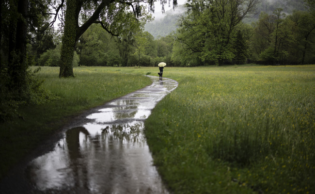 Das Wetter liess nicht alle im Regen stehen
