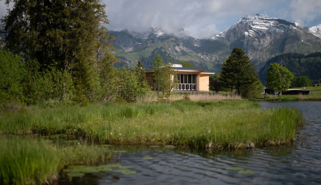 Im Video: Die Eröffnung des Klanghauses