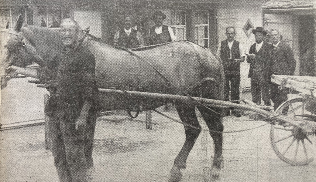 Der Armenhaus-Michel (1850 – 1923) hier im Bild mit seinem Fuhrwerk auf dem Heimweg von Nesslau nach Unterwasser. Aufgenommen vor dem Gasthof Freihof, Germen, ob Nesslau.