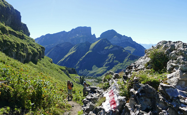 «Blieben bislang von Rambazamba verschont»: Bergbahnen Wildhaus wollen kein alpines Disneyland
