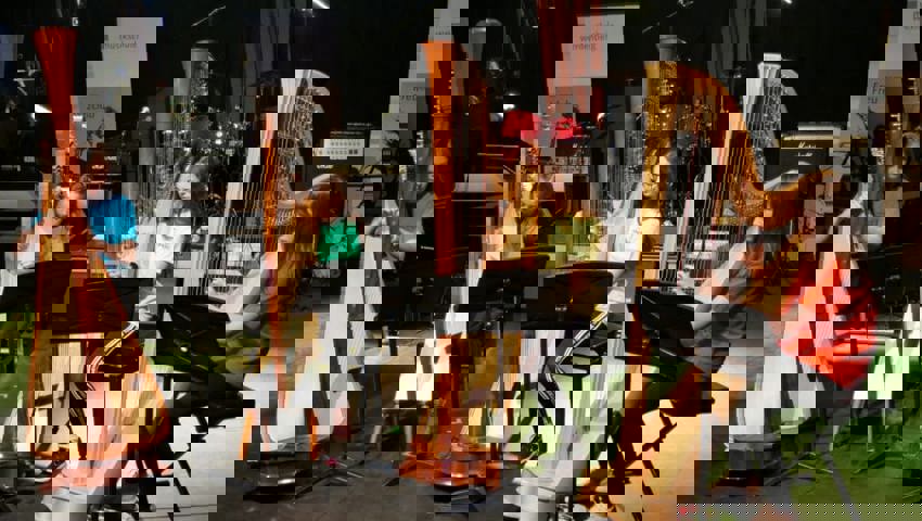  Ein talentiertes Quartett zeigt sein Können an der Harfe. 