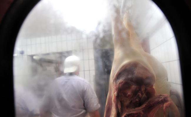 Fleisch-Abfall doch korrekt entsorgt – Mann freigesprochen