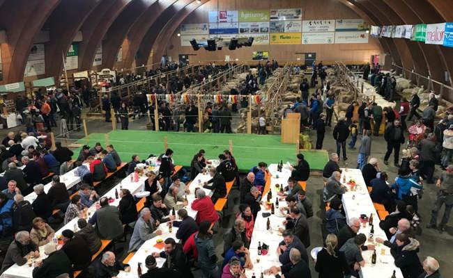 Immer weniger Tiere und kaum noch Käufer: In der Markthalle gibt es keine Viehauktionen mehr