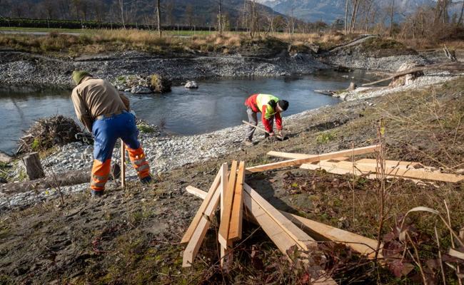 Revitalisierung auf der Zielgerade: 3380 Bäume und Sträucher gepflanzt