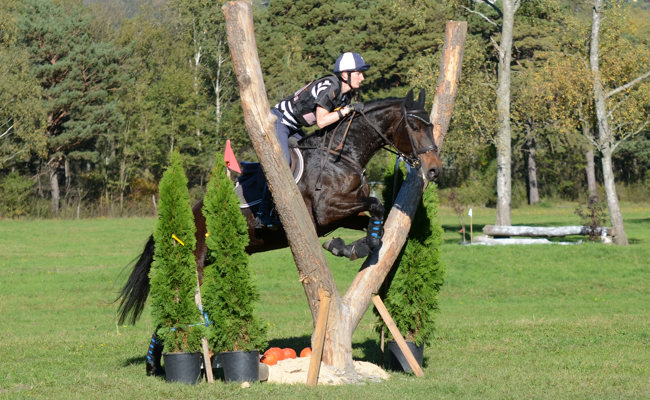 «Wäre schade, das Military sterben zu lassen»: Auf  Kohlau und Tratt wird weiterhin galoppiert