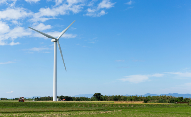 Liechtensteins Windeignungsgebiete liegen oft direkt am Rhein