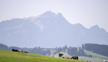 Schärfere Regeln für PFAS-Fleisch: Ostschweizer Kantone wehren sich – einer bleibt leise