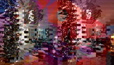 Neun Christbäume in einem einzigen Haus – der grösste ist fünf Meter hoch