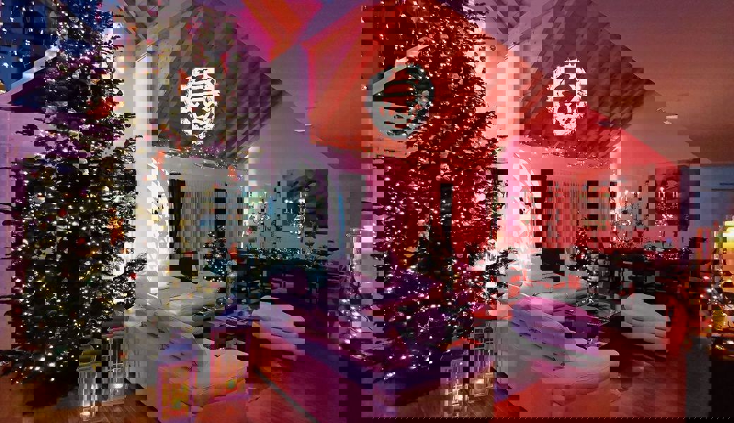 Neun Christbäume in einem einzigen Haus – der grösste ist fünf Meter hoch