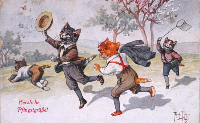 Katzenfamilie und Maikäferkonzert: Motive auf alten Grusskarten