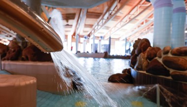 Kinder in Säntispark-Umkleide gefilmt und fotografiert: Schuldspruch