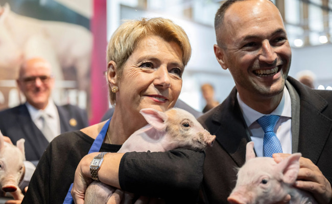 Bundespräsidentin Keller-Sutter herzt das Säuli: Jetzt kann die Olma losgehen