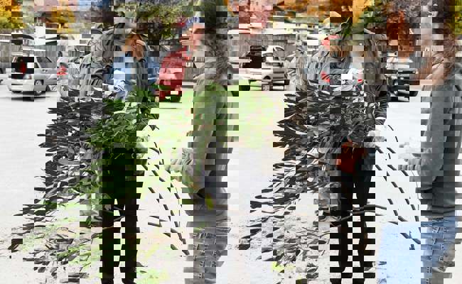 Fast 500 invasive Neophyten gegen einheimische Sträucher eingetauscht