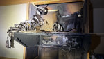 Küchenbrand in Dachwohnung – Bewohnerin verletzt