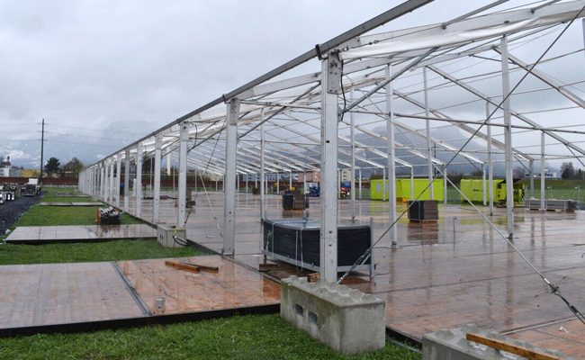 Neue Attraktionen, ein Nachtbus und ein neues Design