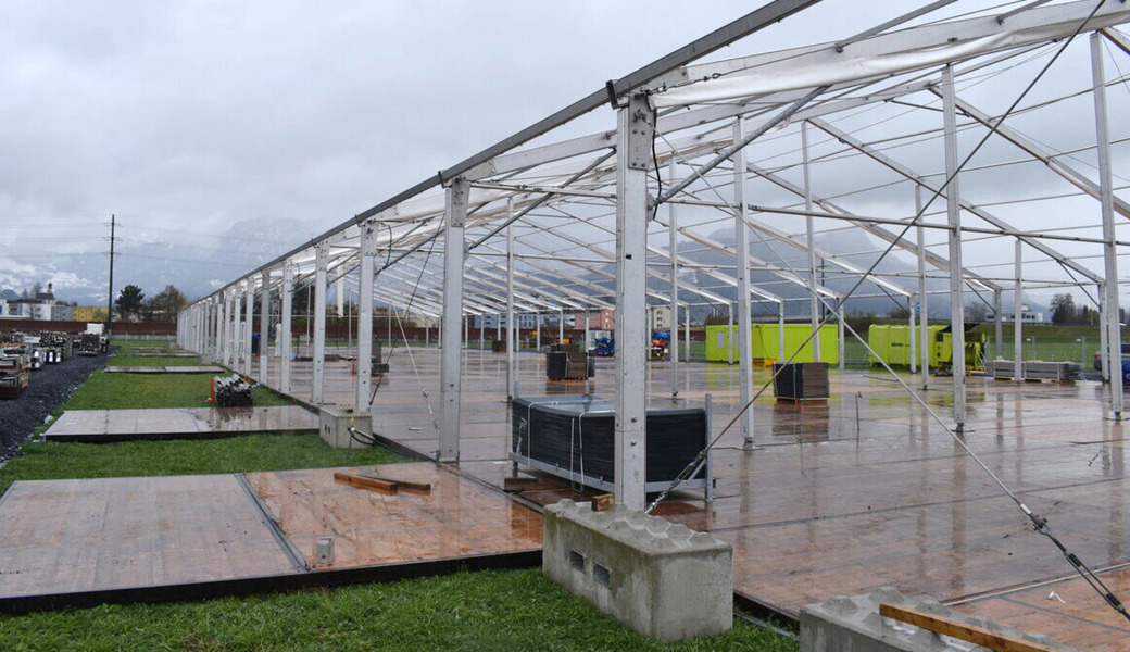 Neue Attraktionen, ein Nachtbus und ein neues Design