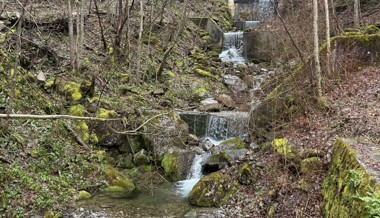 Stadtrat verteidigt Hochwasserschutz in Lienz
