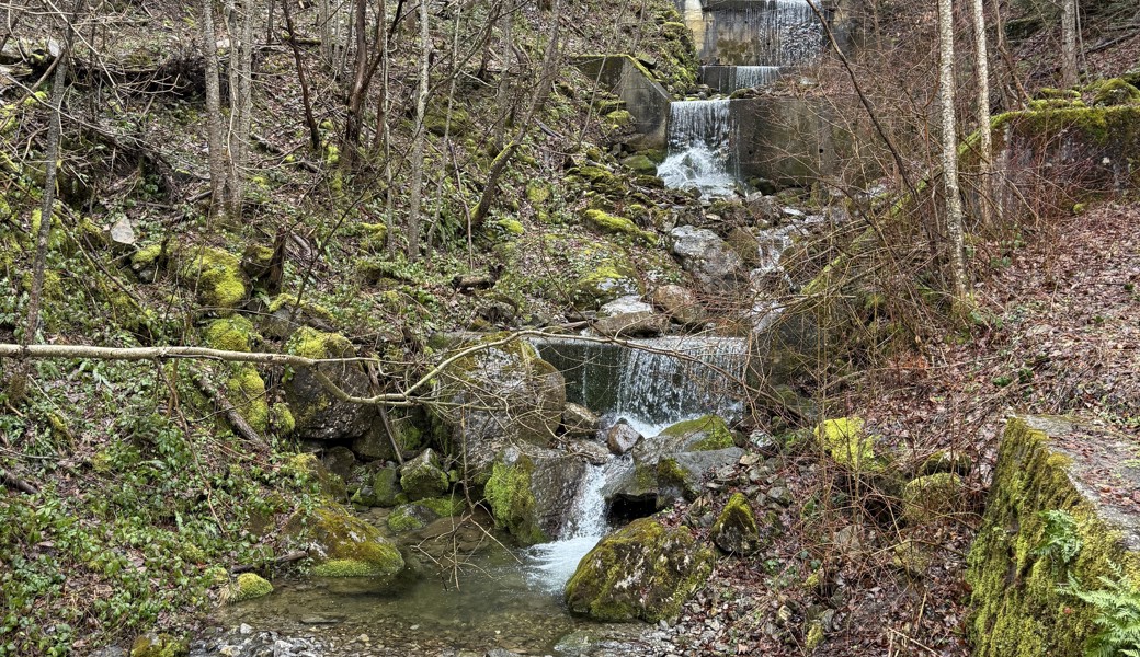 Der Lienzer Bach soll zur Sicherheit von Lienz in den Bofelbach umgeleitet werden.