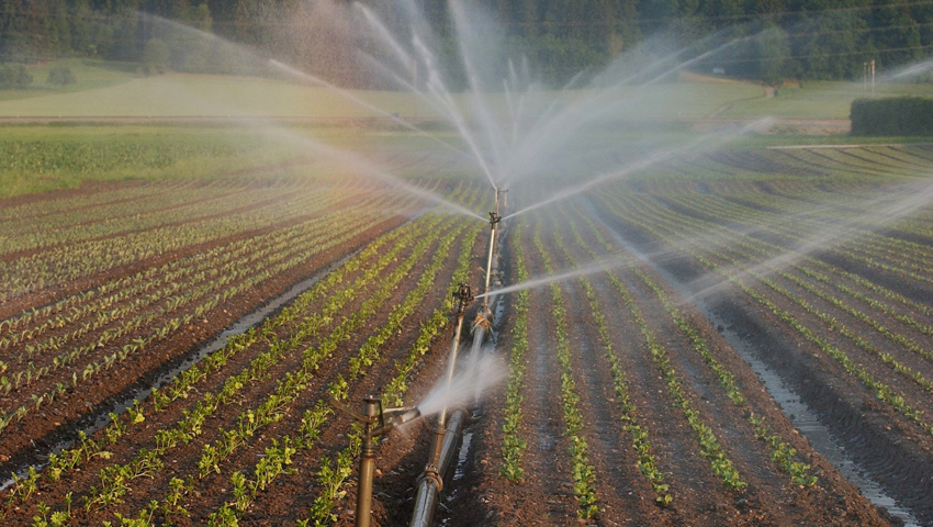  Neues Projekt: Bewässerung ist für die Wartauer Landwirtschaft existenziell wichtig. 