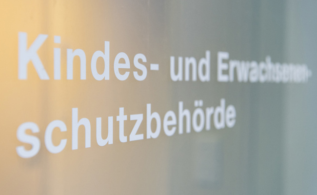 Grosse Herausforderungen im Kesb-Alltag: Der tragische Fall einer 84-Jährigen