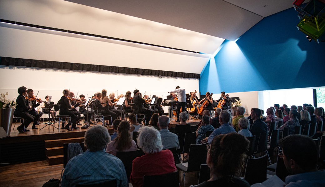 Rheinklang-Orchester begeisterte mit musikalische Vielfalt die Gäste