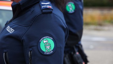 In flagranti: Hausbewohner knöpft sich Dieb selber vor
