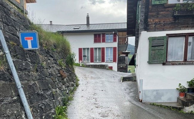 91-Jährige von Viehherde zu Tode getrampelt