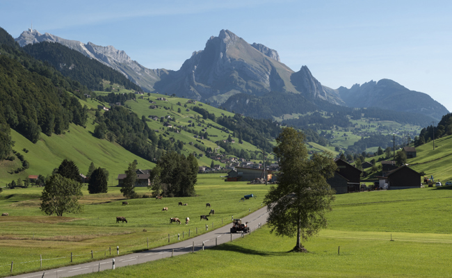 Sanierung bei Hydrantenleitung: Wasserkorporation will Netz für 700'000 Franken erneuern