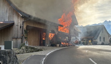 Holzhaus im Vollbrand: Schaden von über einer Million Franken