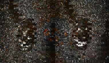 Adventskranz in Einfamilienhaus fing Feuer – Bewohner verhinderte grösseren Brand