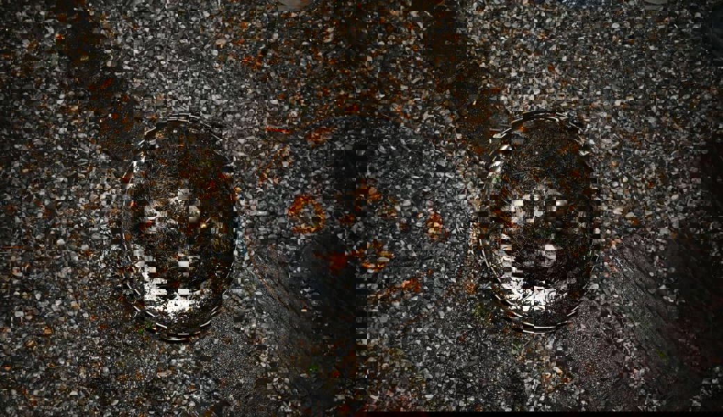  Am Dienstag ist in in Azmoos ein Adventskranz in Brand geraten. 