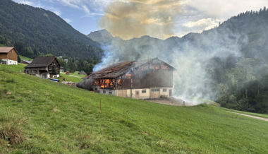Viehscheune nach Blitzschlag in Vollbrand, Tiere gerettet – mit einer fünf Kilometer langen Wasserleitung