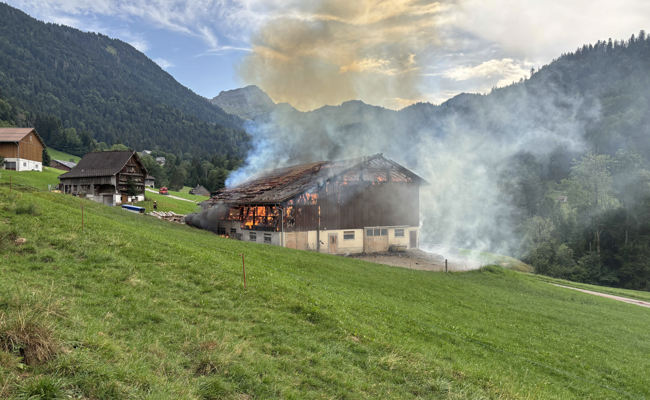 Viehscheune nach Blitzschlag in Vollbrand, Tiere gerettet – mit einer fünf Kilometer langen Wasserleitung