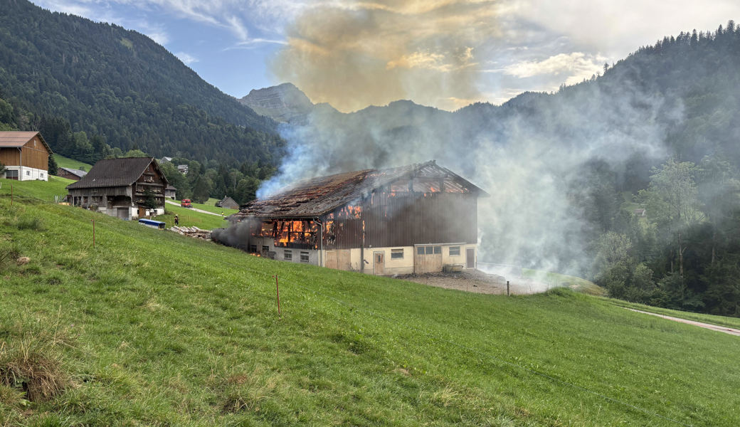 Grosse Herausforderung für die Feuerwehr: Brand nach Blitzeinschlag.