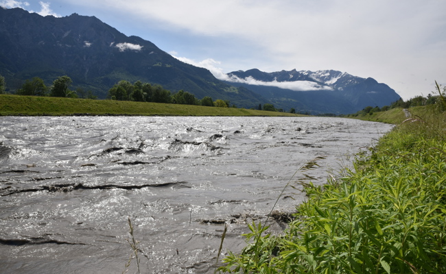 Die Rheindämme in Buchs und Sevelen sollen von 2022 bis 2024 saniert werden