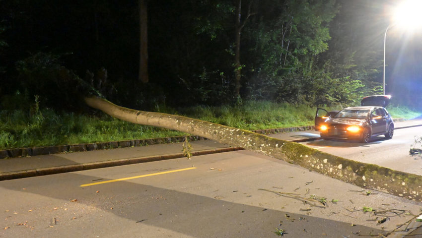  Die Frau fuhr in einen umgestürzten Baum. 