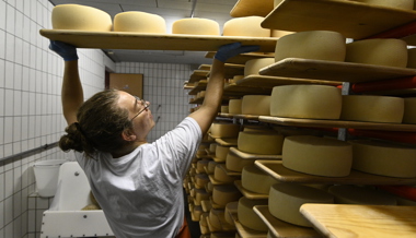 Malschüeler Alp-Ziegenkäse gewinnt vier- plus einmal Gold