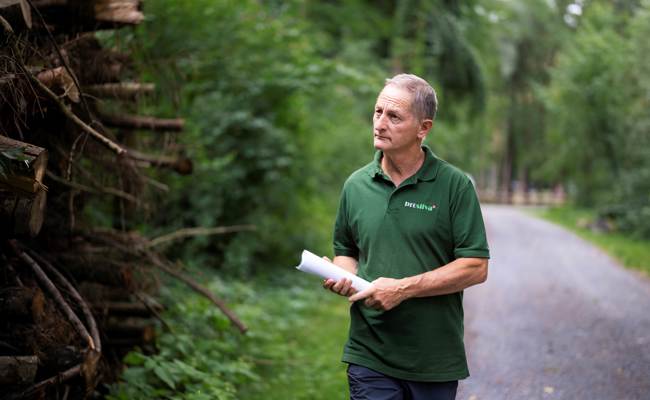 Forstrevier Wartau ist für Waldpreis nominiert