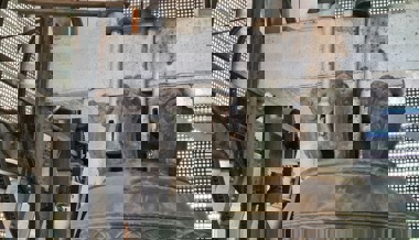 Die Kirchenglocken in Grabs werden im kommenden Frühling eine Zeit lang verstummen