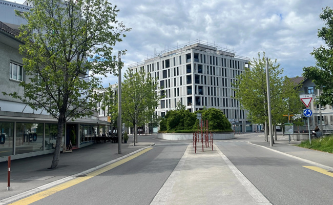 «Das war eine Kamikazefahrt»: Mann liefert sich Verfolgungsjagd mit Grenzbeamten