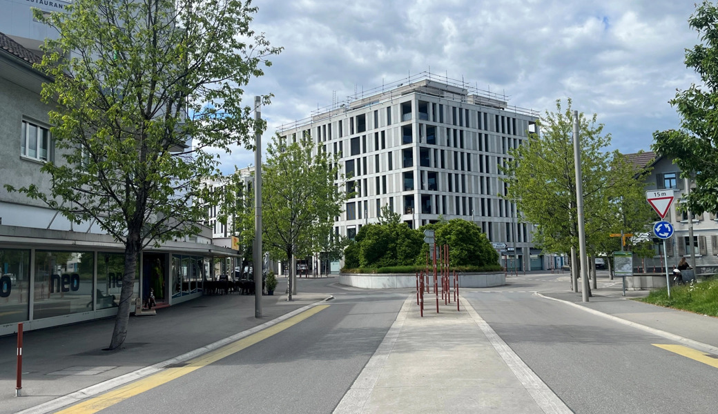 «Das war eine Kamikazefahrt»: Mann liefert sich Verfolgungsjagd mit Grenzbeamten