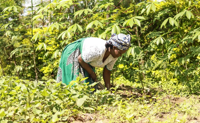 Die Fastenzeit beginnt: Weniger Überkonsum – mehr Klimagerechtigkeit