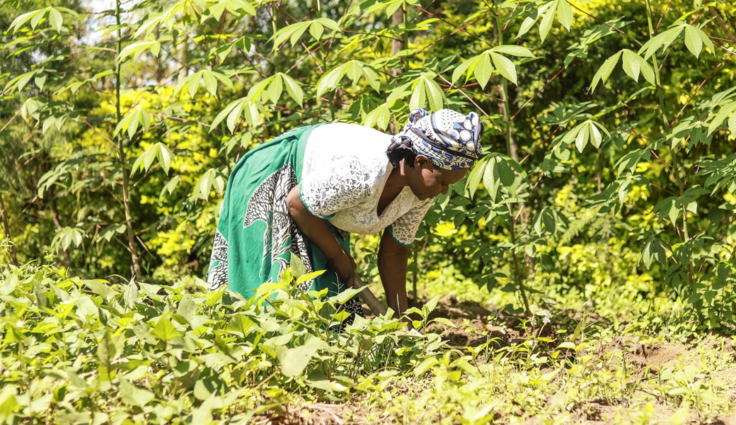 Gladys Amunga, Mitglied einer Solidaritätsgruppe, in Kenia in ihrem Küchengarten, den sie agrarökologisch bewirtschaftet.