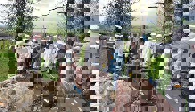 W&O-Serie «Im Werdenberg summt es»: Imkerei ist ein tolles Hobby