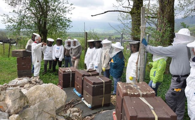 W&O-Serie «Im Werdenberg summt es»: Imkerei ist ein tolles Hobby