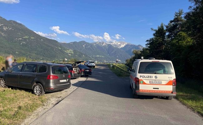 Hunde springen auf Strasse – Kollision mit Velofahrer