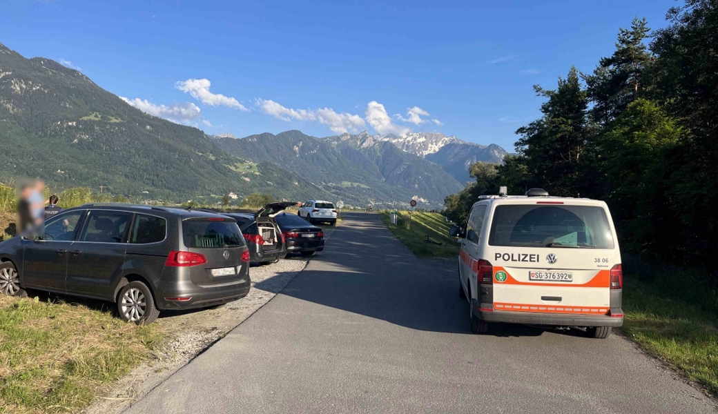 Die Hunde sprangen aus dem Auto auf die Strasse.