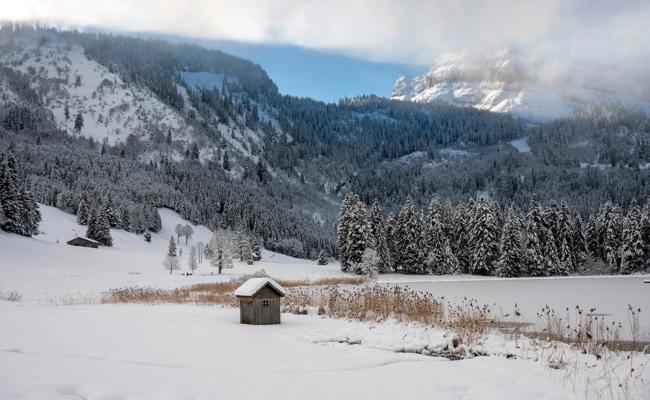 Pisten und die Natur im Winterkleid: Wildhaus von seiner schönsten Seite