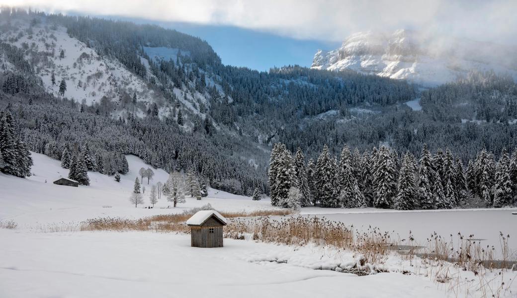 Pisten und die Natur im Winterkleid: Wildhaus von seiner schönsten Seite