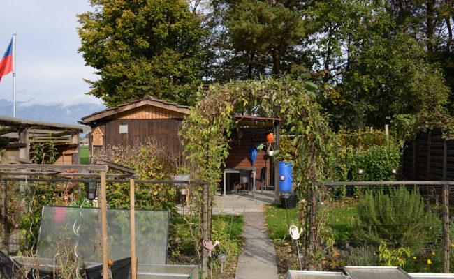 Einbruchdiebstähle in mehrere Schrebergartenhäuschen in Triesen – Zeugen gesucht